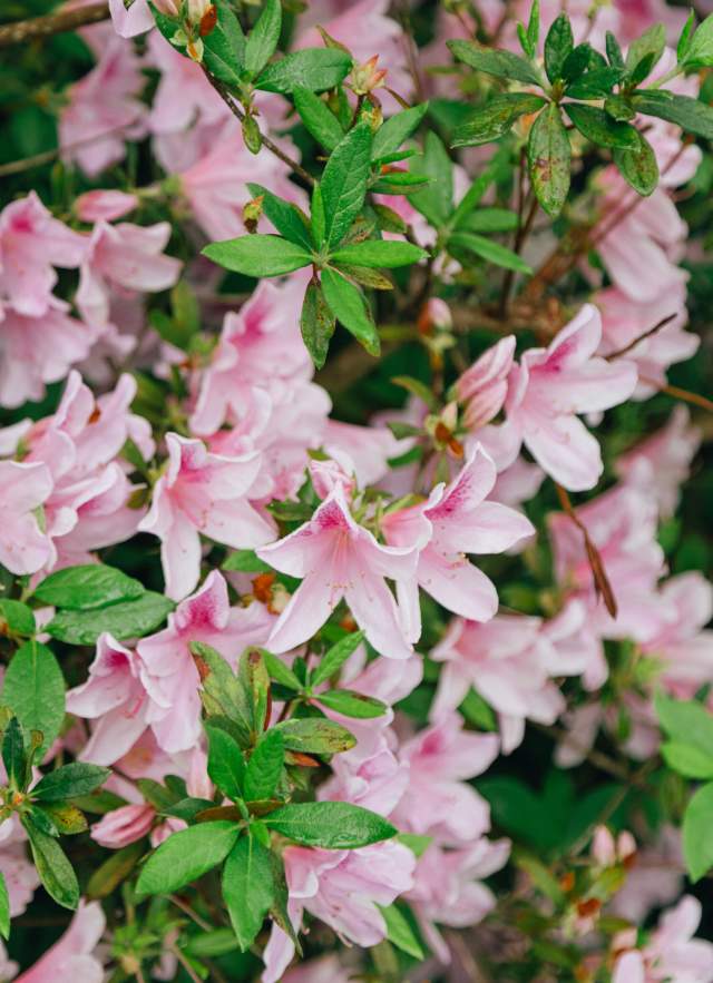 Hop-tastic Events to Enjoy this Easter