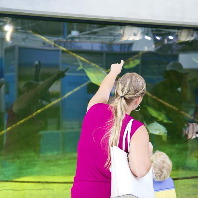 woman and child pointing to a large aquarium