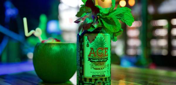 Decorative coconut cup and can of beer