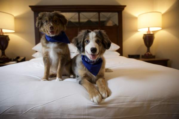 Mobile Tourism Improvement District earns City Council approval for a second five-year term