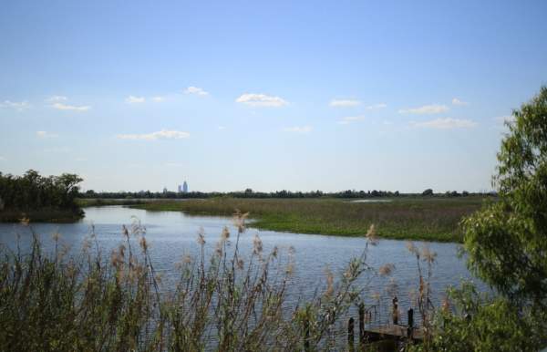 delta water and grass with the city in the far background