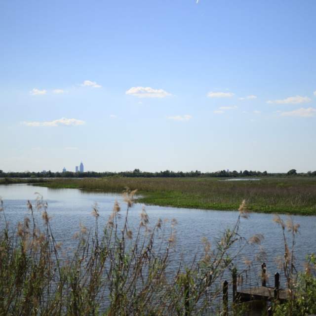 delta water and grass with the city in the far background