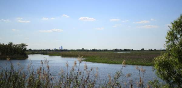 delta water and grass with the city in the far background
