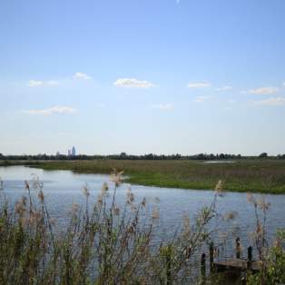 delta water and grass with the city in the far background