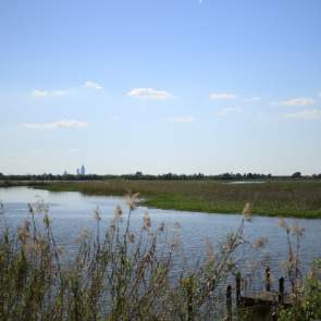 delta water and grass with the city in the far background
