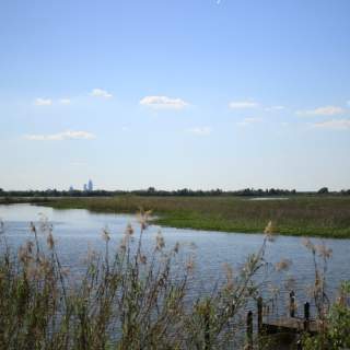 delta water and grass with the city in the far background