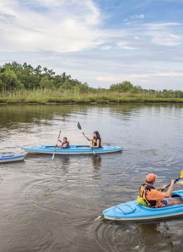 kayaking in the delta