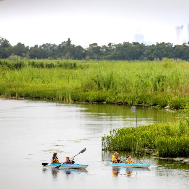 People Enjoying 5 Rivers Kayak Tour In Mobile, AL