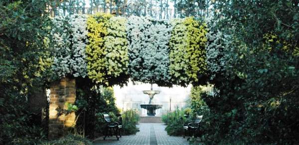 bridge with hanging mums on the sides