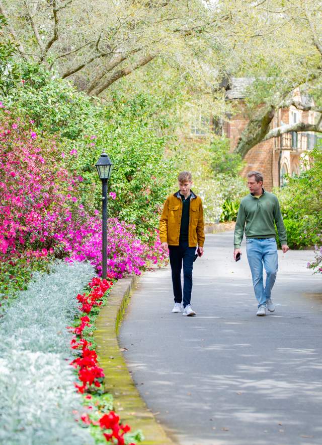 Spring Is Blooming in Mobile