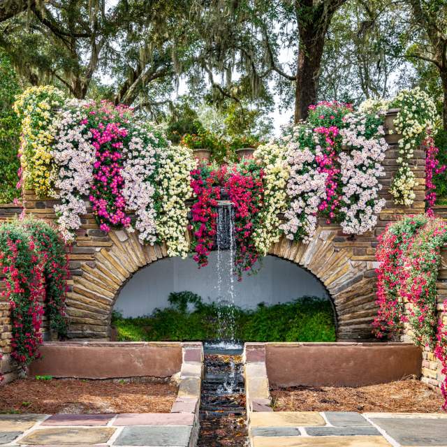 Cascading mums hang from brick steps surrounding a water fountain
