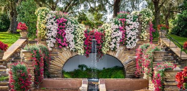 Cascading mums hang from brick steps surrounding a water fountain