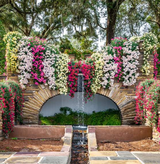 Cascading mums hang from brick steps surrounding a water fountain