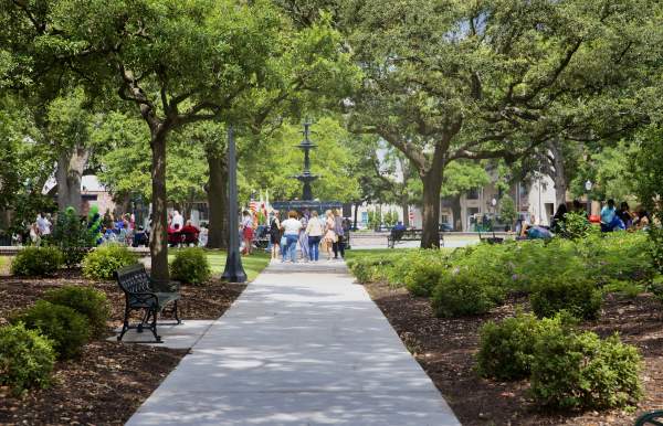 Looking into Bienville Square with oak trees, plants and park benches