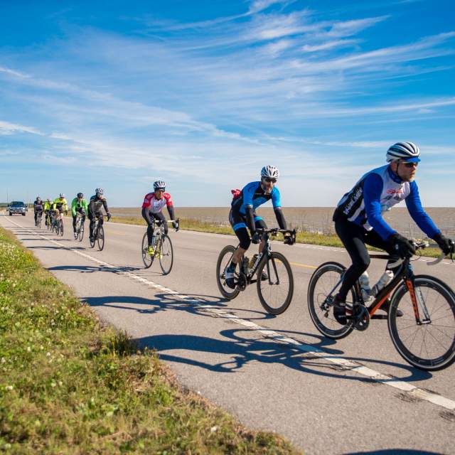 line of people riding bicycles in the street