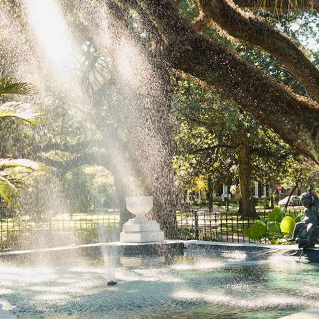 a sunlit park with trees in mobile alabama