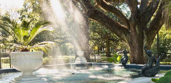 a sunlit park with trees in mobile alabama
