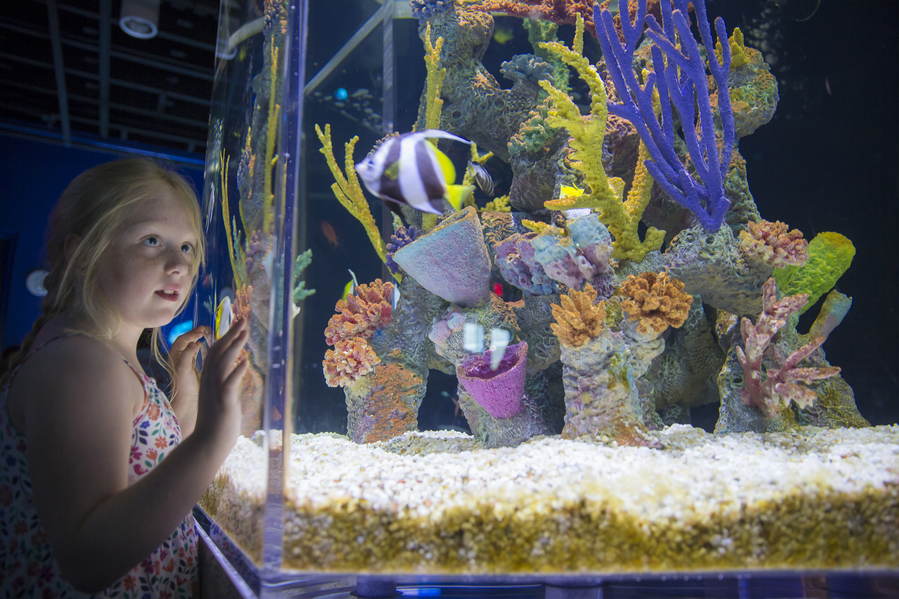 Dauphin Island Sea Lab