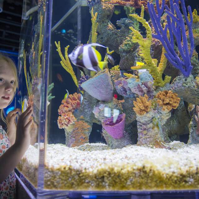 dauphin island se lab in mobile al