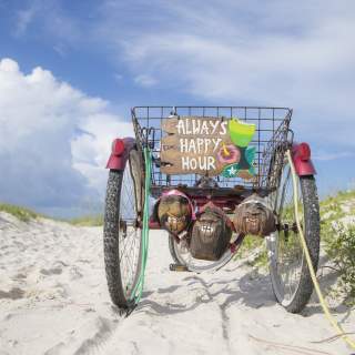 Old, three wheel bicycle parked on the beach