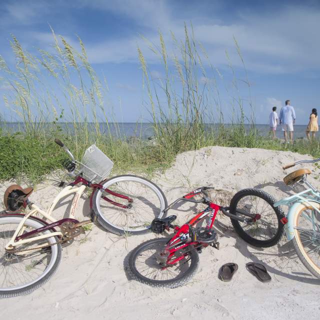 three bicycles laying on a sand dune on the beach