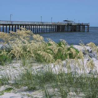 dauphin island pier in mobile alabama, sand dunes with sea oats