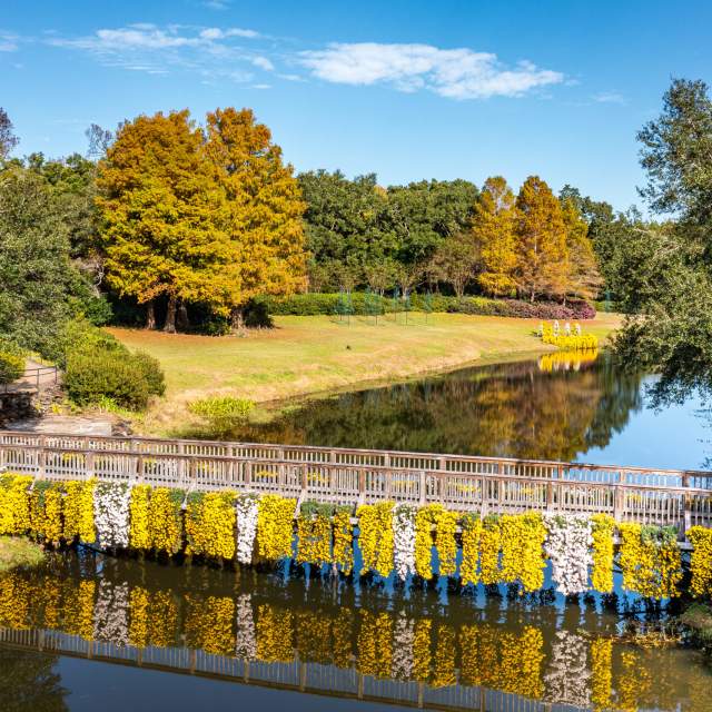 Fall Bellingrath Gardens