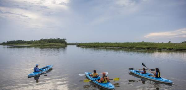 People in three kayaks in the Mobile delta