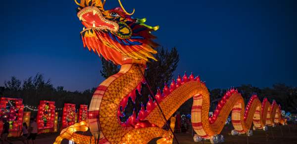 Large light up dragon