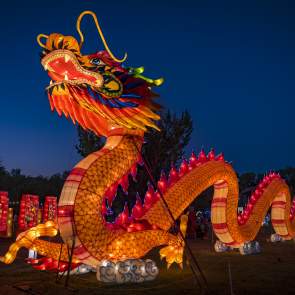 Large light up dragon