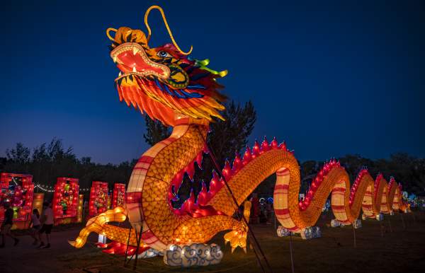 Large light up dragon