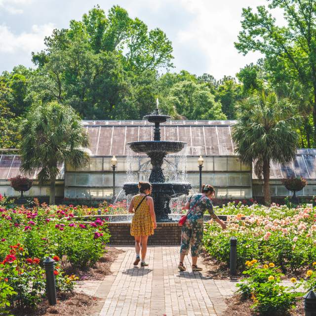 Two women walking amongst flowering plants