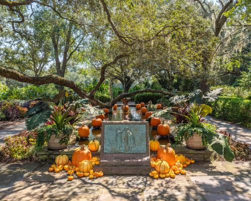 Pumpkins and various gourds at Bellingrath Gardens & Home.