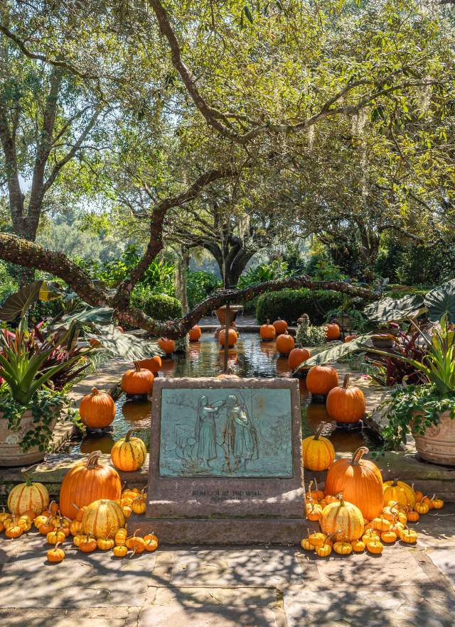 Pumpkins and various gourds at Bellingrath Gardens & Home.