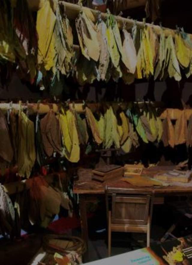 Cuban Wonders in Mobile