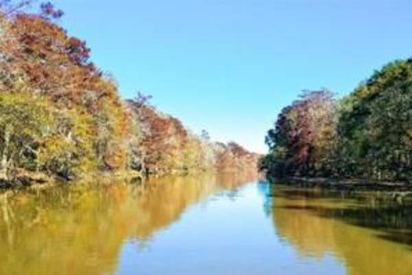 Fall Color in the Delta Cruise