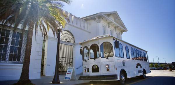 tour bus parked in front of building with palm trees outside