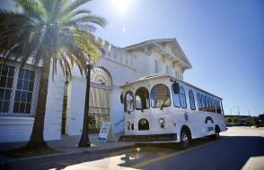 tour bus parked in front of building with palm trees outside