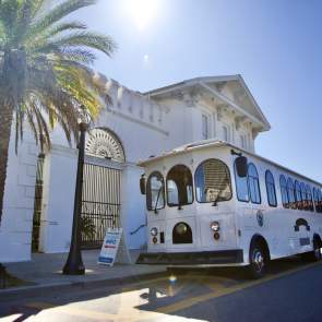 tour bus parked in front of building with palm trees outside