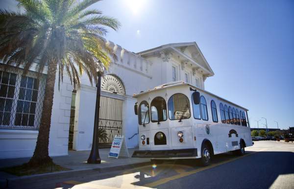tour bus parked in front of building with palm trees outside