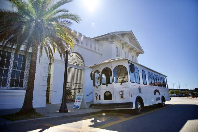 tour bus parked in front of building with palm trees outside