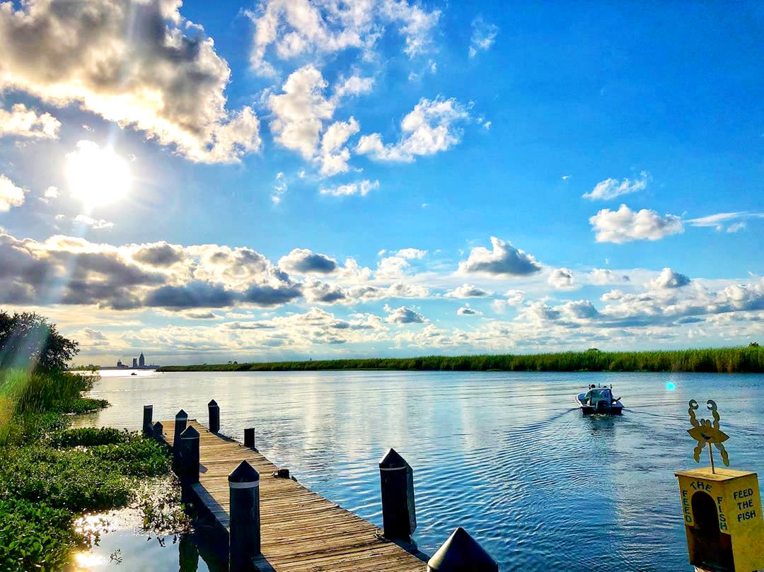 Boardwalk over water