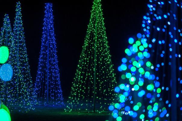 Bellingrath Christmas Trees at night