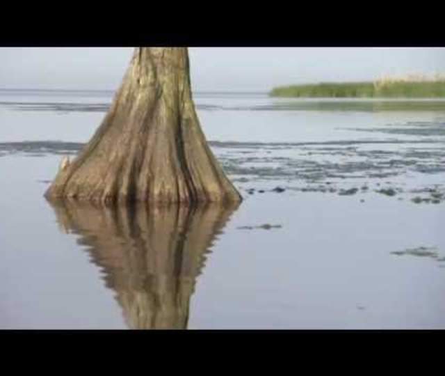 AMERICA'S AMAZON - FULL DOCUMENTARY