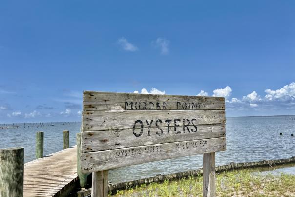 Old, faded wooden sign at the waterfront