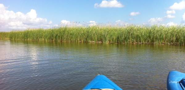 a kayak in serene waters in mobile alabama