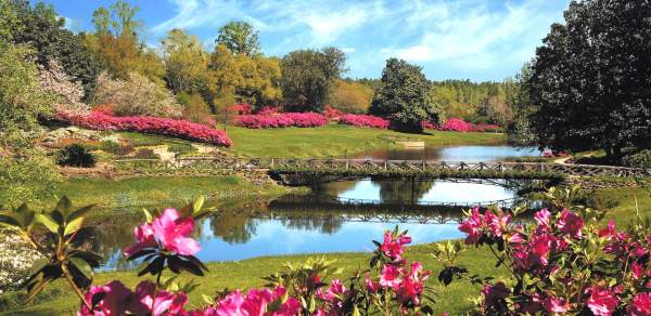 bridge over water with blooming azaleas