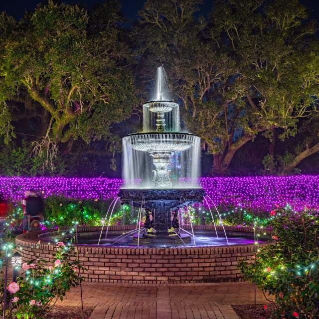 An illuminated water fountain at nights surrounded by purple lights and Christmas decorations