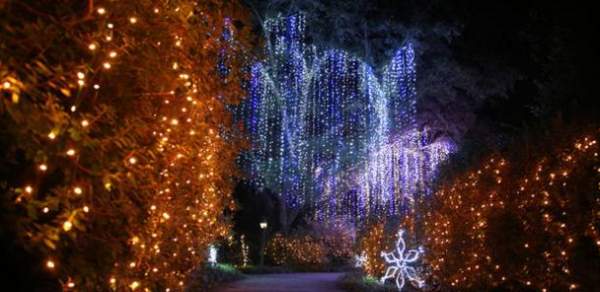 Magic Christmas In Lights