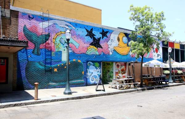 Colurful marine life mural